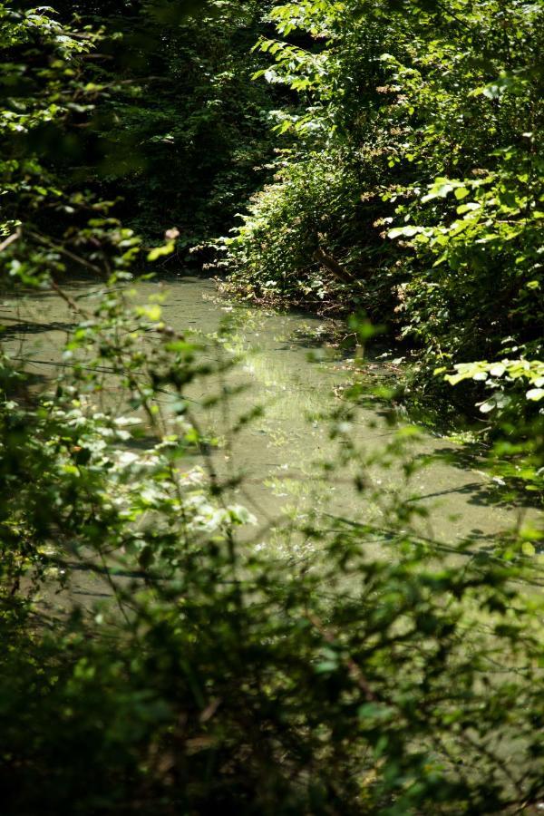 Le Domaine Du Cerf - Gites, Nature Et Spa Saint-Ouen-les-Vignes Ngoại thất bức ảnh