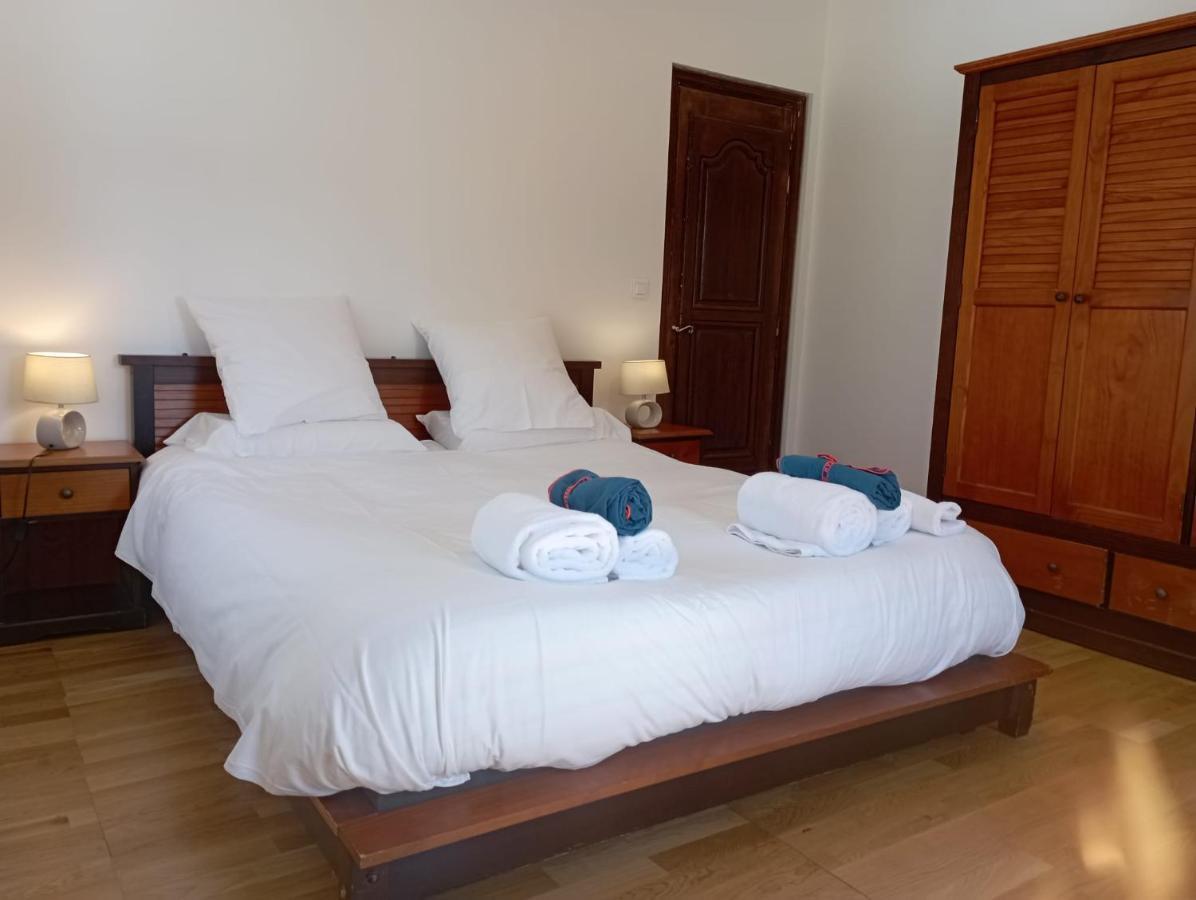 Le Domaine Du Cerf - Gites, Nature Et Spa Saint-Ouen-les-Vignes Ngoại thất bức ảnh